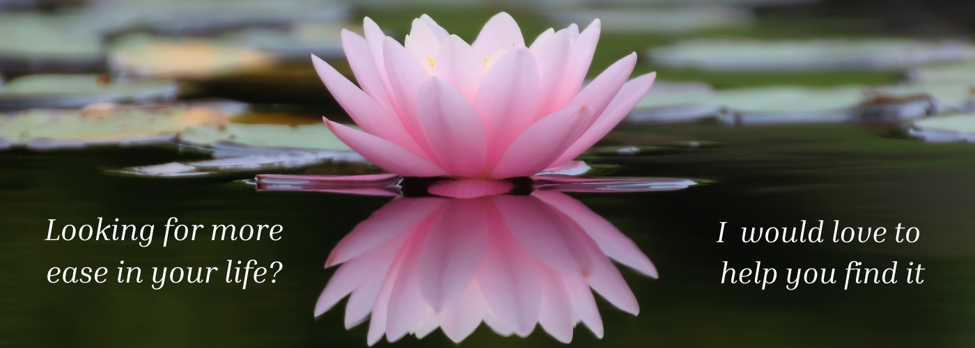 Image of blooming pink water lily. Looking for more ease in your life? I would love to help you find it.
